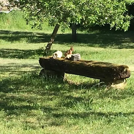 La Grange Aux Dames 3* Geville