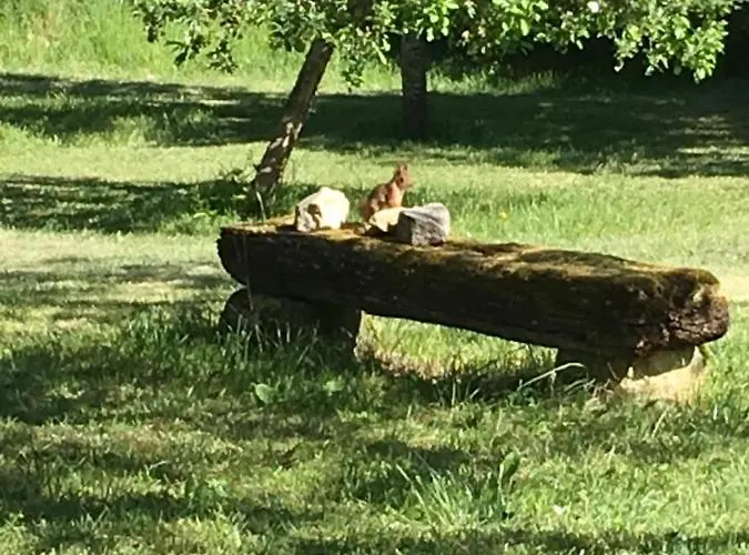 La Grange Aux Dames 3* Geville